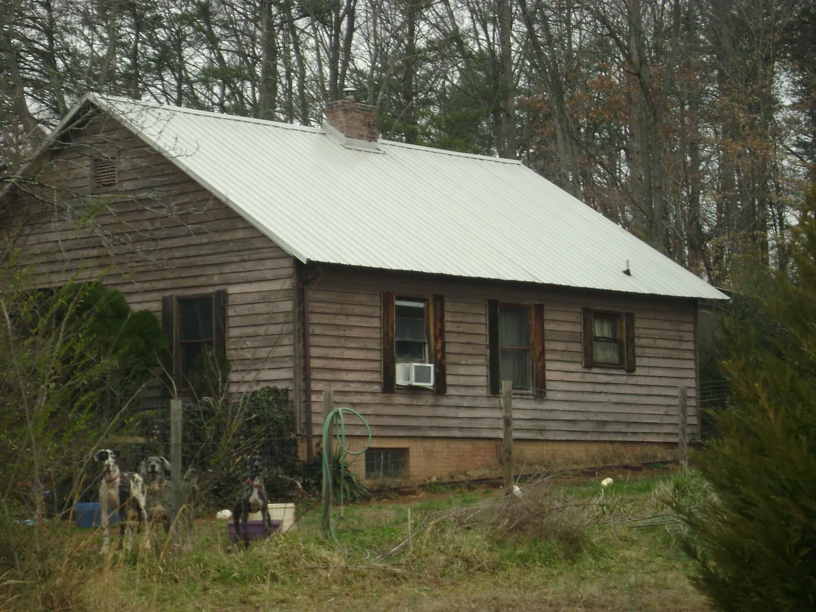 White metal roof on an old wood sided farmhouse, from a Metal Roof Installation job in Horatio